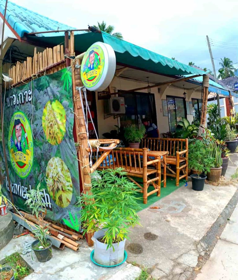 PiNam Cannabis Shop ชาวเกาะ 1 768x905