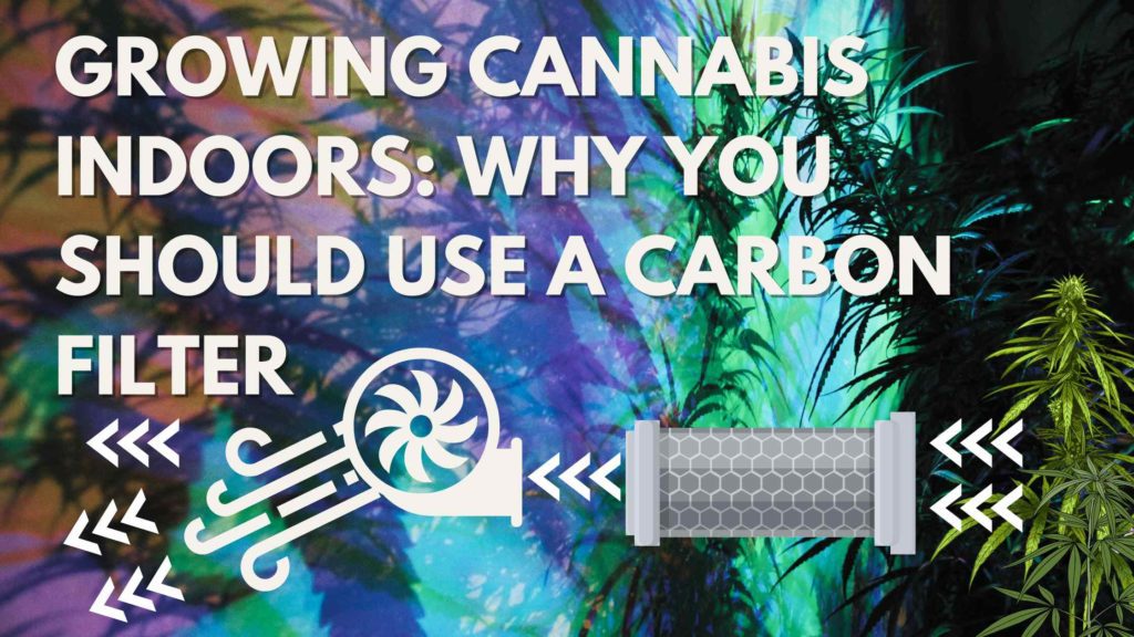 Growing Cannabis Indoors: Why You Should Use a Carbon Filter