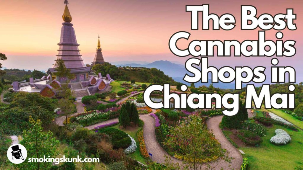 The Best Cannabis Shops in Chiang Mai