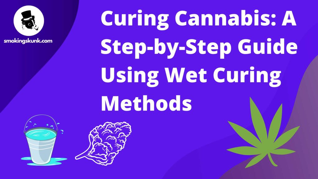Curing Cannabis: A Step-by-Step Guide Using Wet Curing Methods