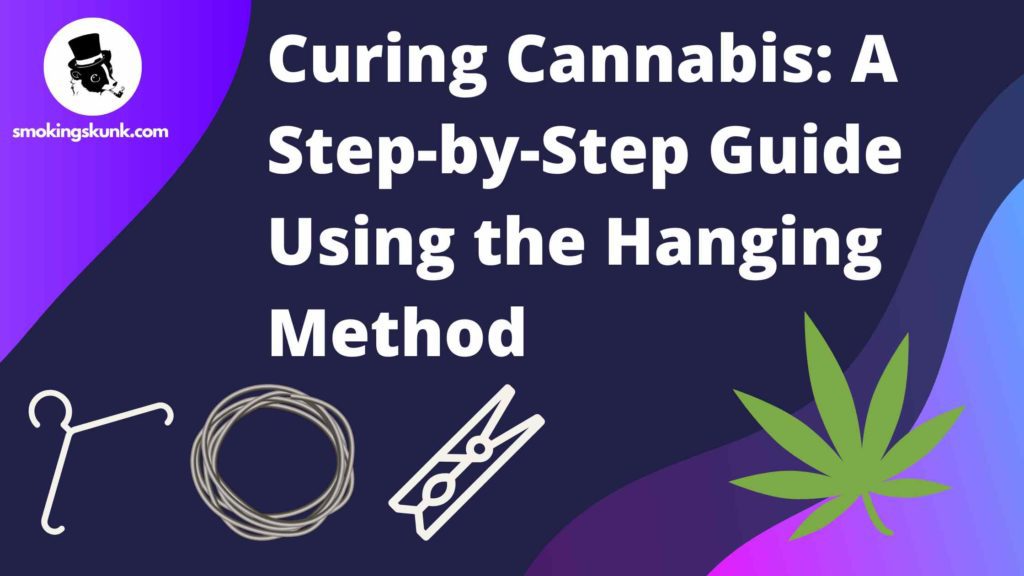 Curing Cannabis: A Step-by-Step Guide Using the Hanging Method