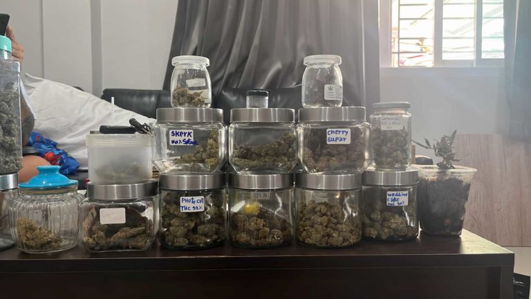 big dum higher cannabis shop 2 768x432