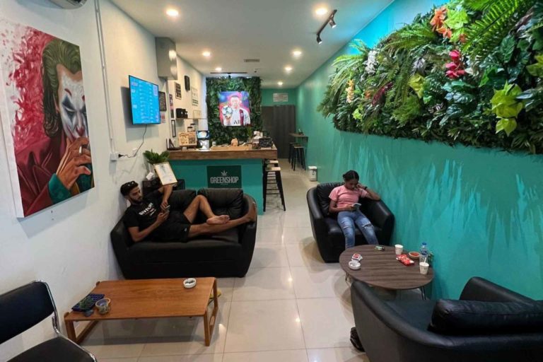 greenshop beach 000 768x512