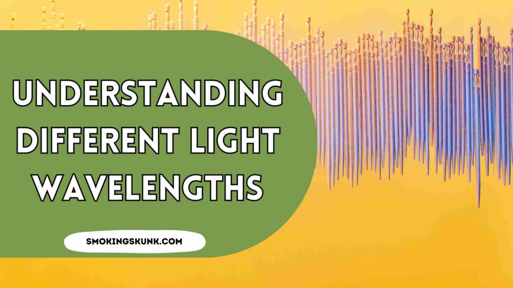Understanding Different Light Wavelengths