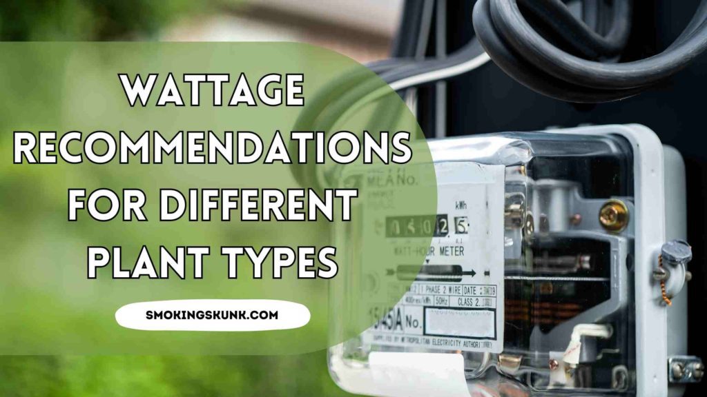 Wattage Recommendations for Different Plant Types
