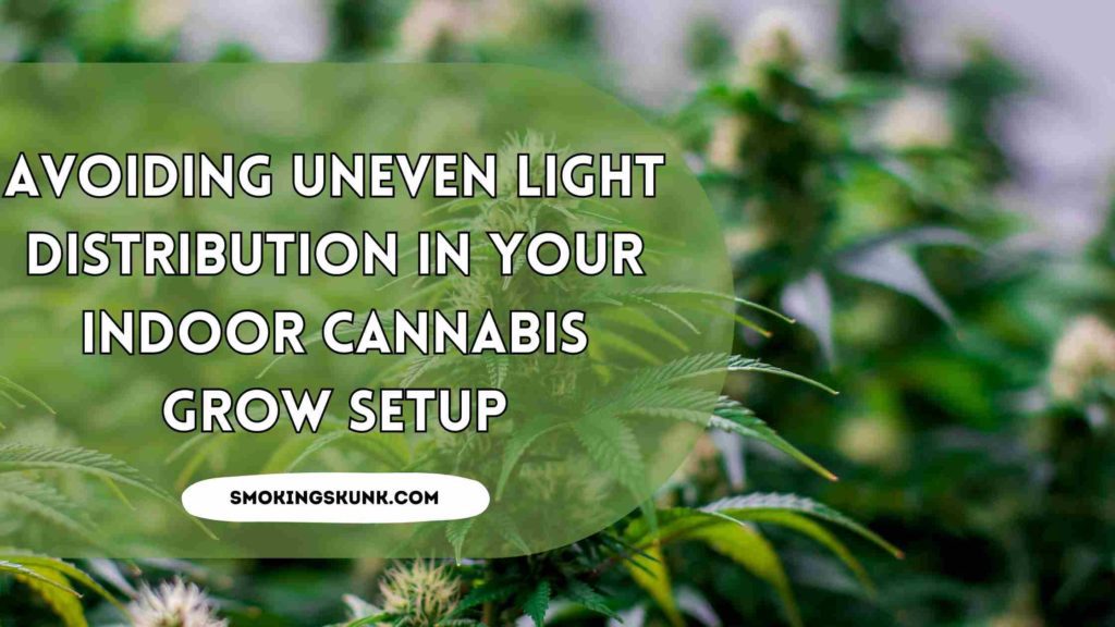 Avoiding Uneven Light Distribution in Your Indoor Cannabis Grow Setup