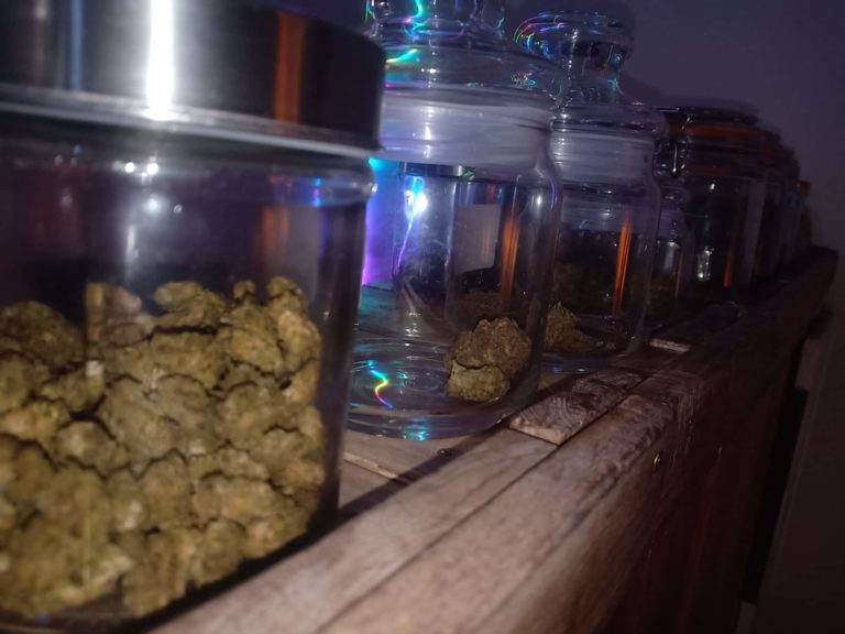 WOLFWEED 2 768x576
