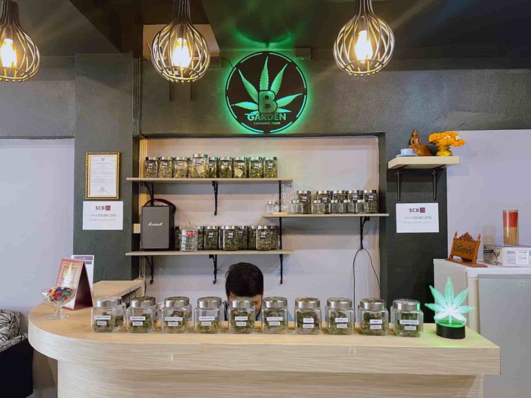 B Garden cannabis 2 768x576