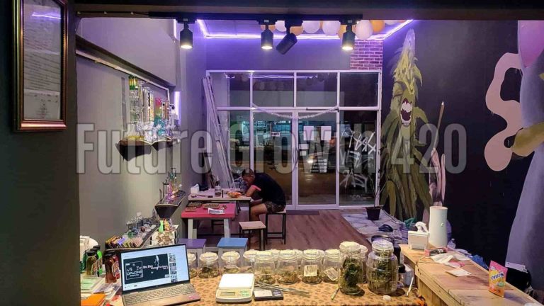 Future Growth 420 2 768x432