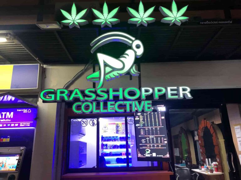 Grasshopper Collective Aekachai kiosk marijuana weed 768x576