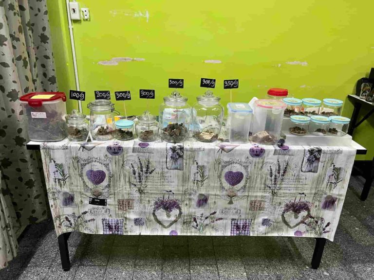 Green Cannafe 2 768x576