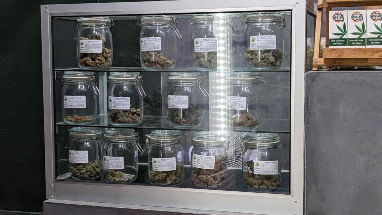 Greenzone 420 CANNABIS DISPENSARY 2 768x432