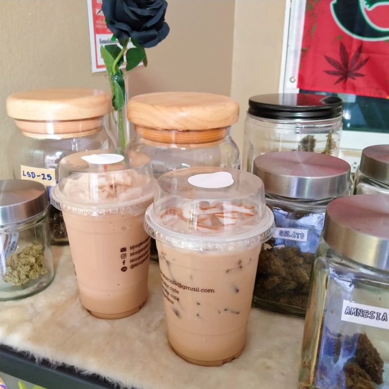 HOLY HERB 2 768x768