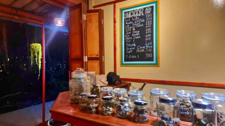 High Siam railay weed shop 2 768x432