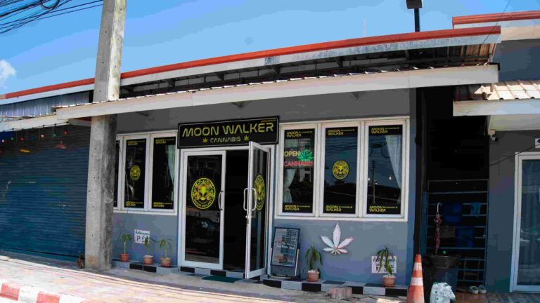 MoonWalker Cannabis Pattaya 1 768x432