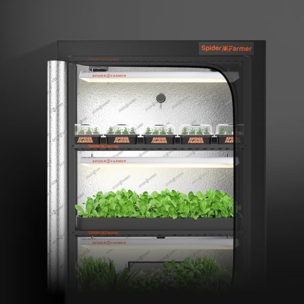 Spider Farmer SF600 growshelves Indoor led grow light and Metal Plant Stand with Plant Trays inside grow tent