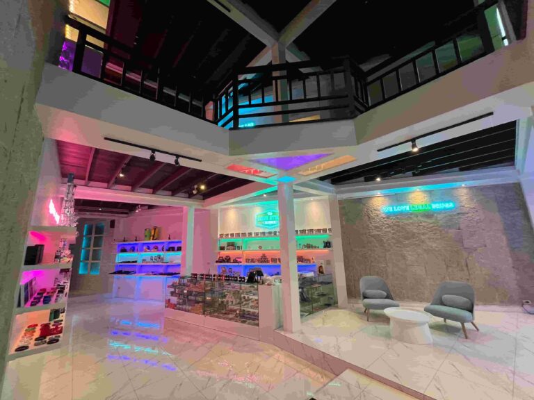 The Drug Store 2 768x576