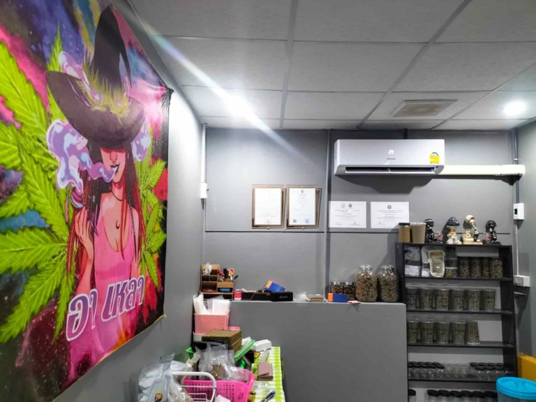 ร้านกัญชาอาเหลาCANNABIS 2 768x576