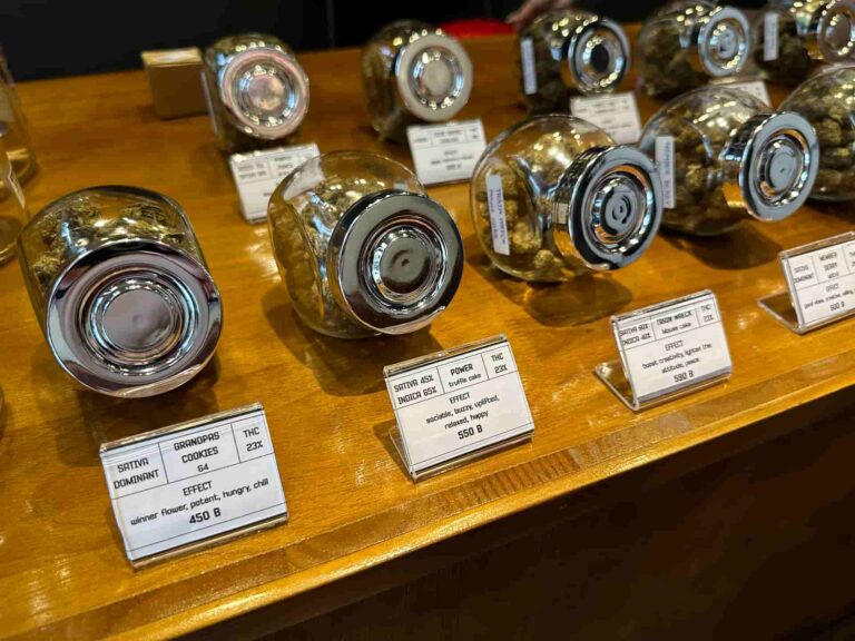 Cannabis Republic 420 2 768x576