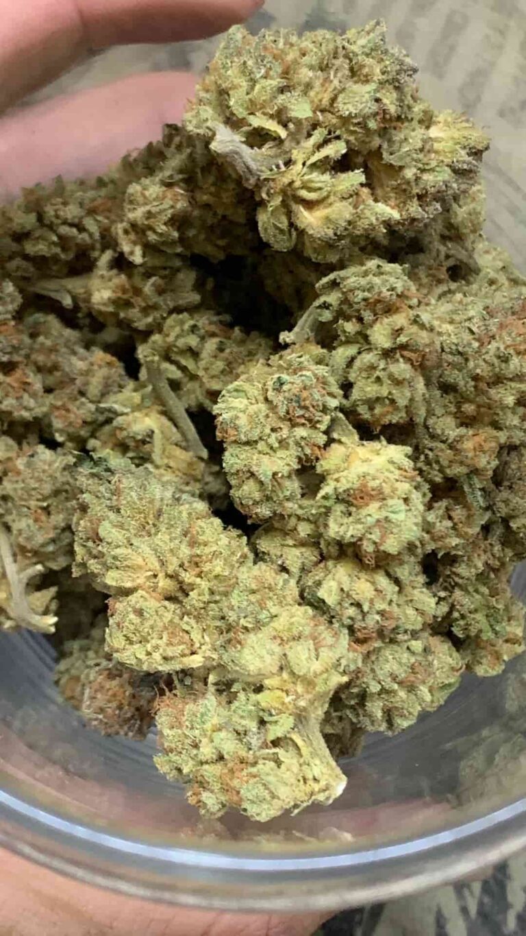 Drunk All Day Cannabis 420 Thailand 2 768x1365