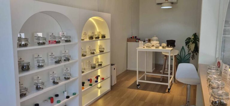 Green Island Koh Tao Island 1​ 2 768x355