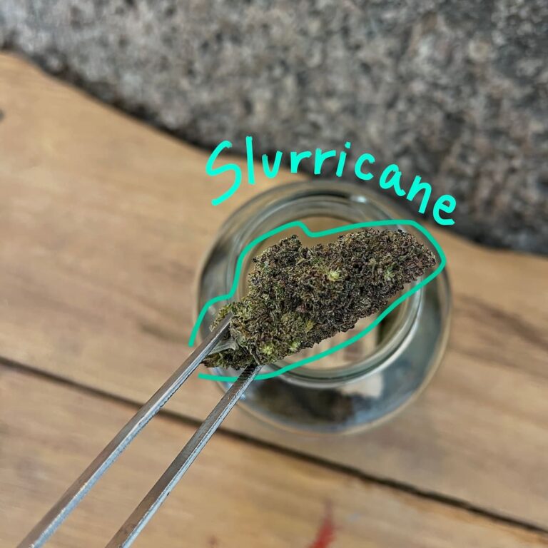 High Siam Koh Tao weed shop 2 768x768