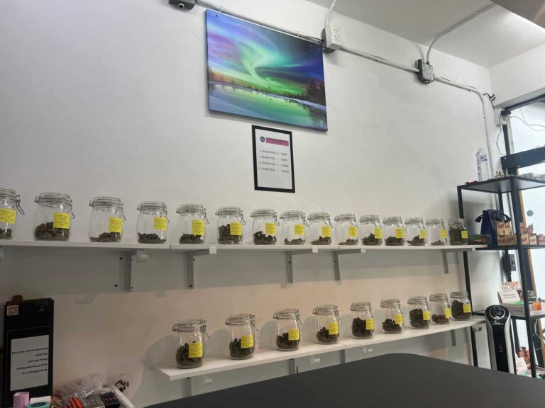 Northern Lights Weed Shop Cannabis Dispensary 2 768x576