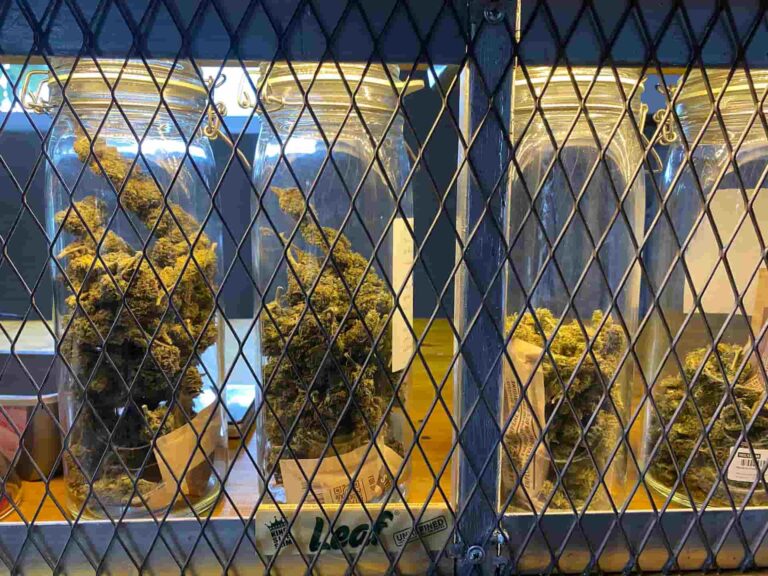Overlab Cannabis Coffee Shop 2 768x576