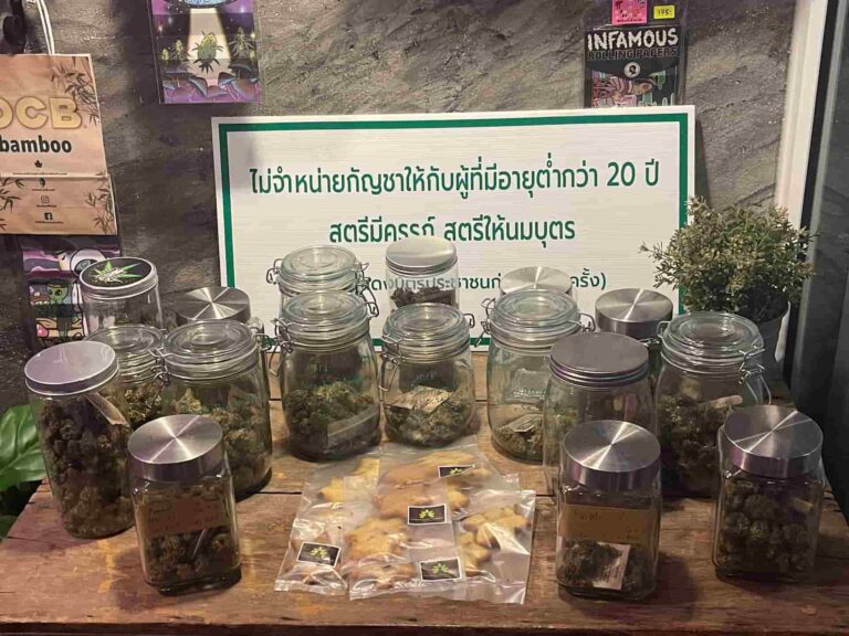 Pharaoh Land Cannabis Ayutthaya. กัญชา อยุธยา 2 768x576