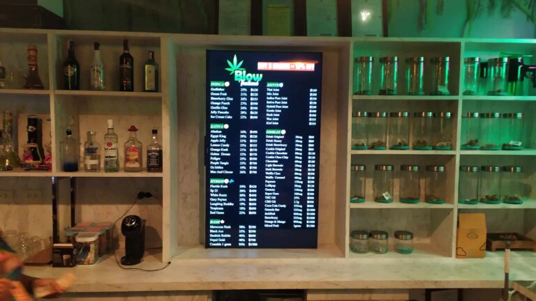 Blow Thailand Jomtien Beach 2 768x432