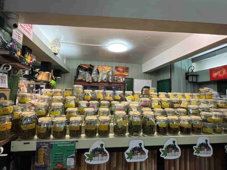 Choo Choo Hemp Weed Shop Sukhumvit 49 Thonglor 2 768x576