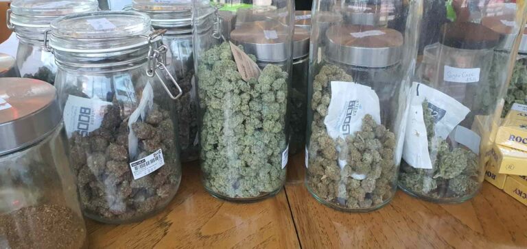 Freedom cannabis koh tao 2 768x364