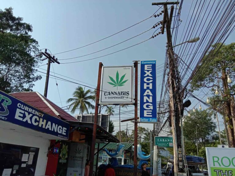 Jungle Garden Cannabis Dispensary 2 sign 768x576