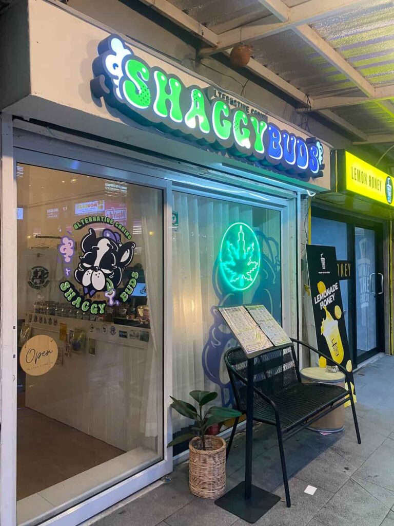 Shaggy Buds Asoke Weed Shop 1 768x1024