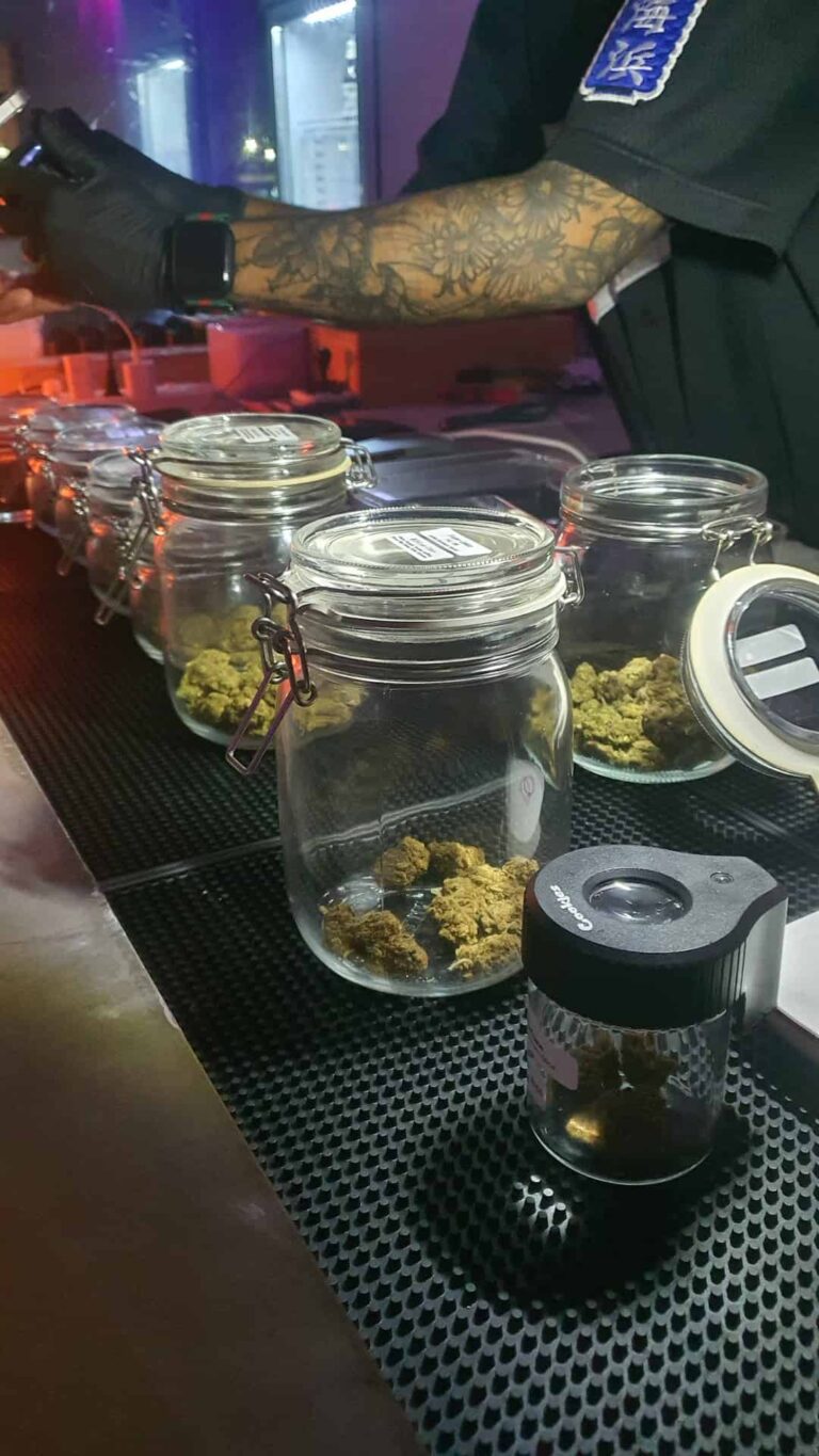 Sticky Budz 2 768x1365