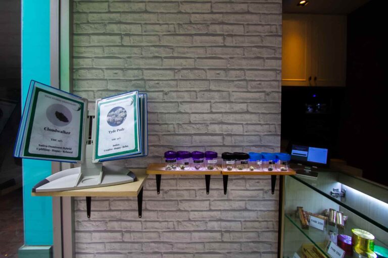 Thai Hybrid Xpress 2 768x512