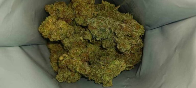 386889085 581726974087434 1758298662953326358 n 768x346