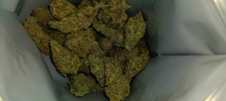 387483247 1479045692949739 8400912670162960599 n 768x346