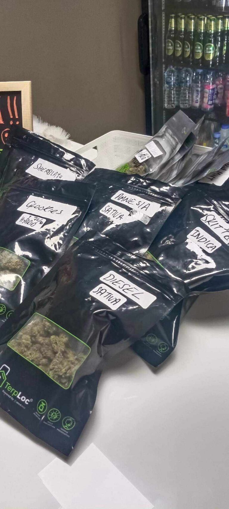 396669430 3668558193466808 4443074550833101285 n 768x1706