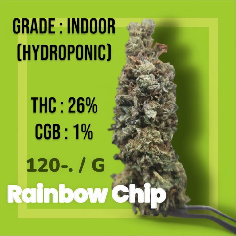 LINE ALBUM 31266 231203 1 768x768