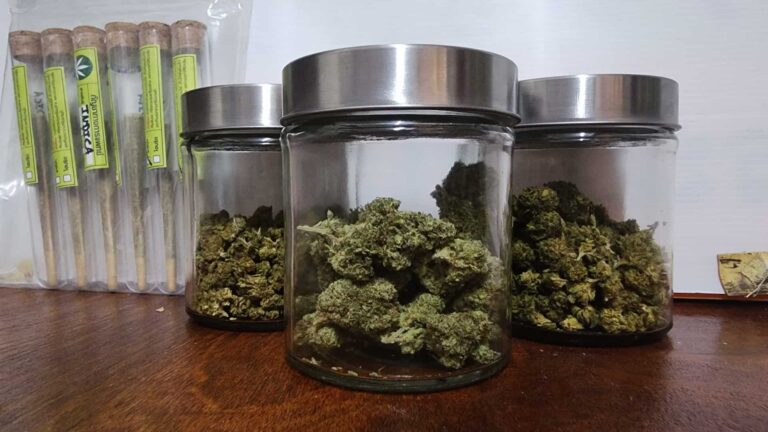 Phi Phi Island Weed Shop 2 768x432