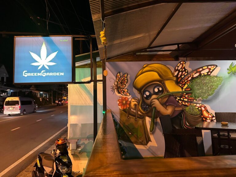 Green Garden Kata Cannabis Dispensary Weed Shop Phuket 11 768x576