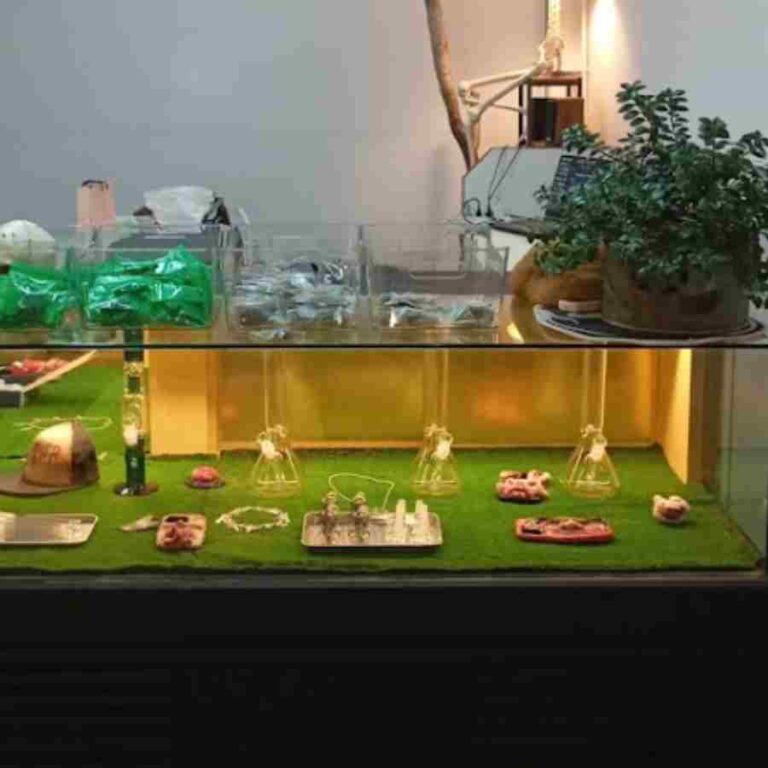 Untitled design9 768x768