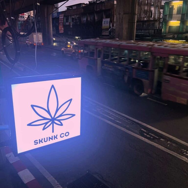 462543598 494012900313011 3590912821325622320 n1 768x768