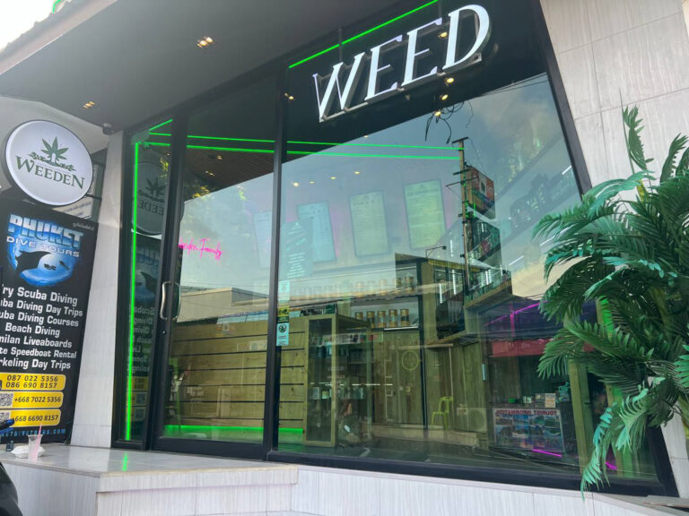 25221231 1 6 768x576