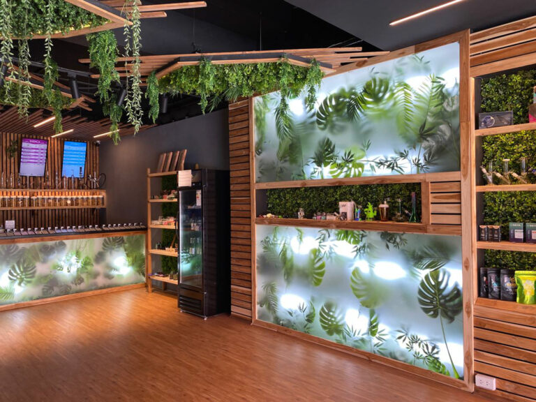 25221231 10 1 768x576