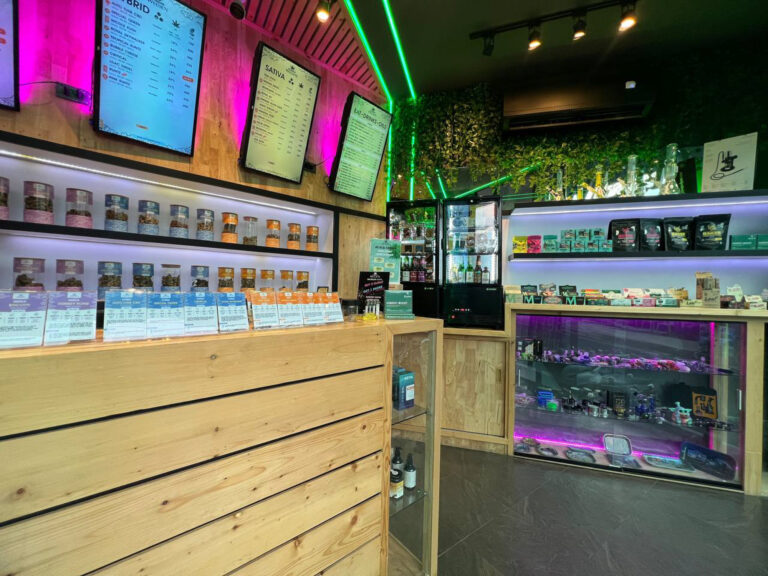 25221231 3 2 768x576