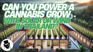 Can You Power a Cannabis Grow With Solar or Wind in Thailand?