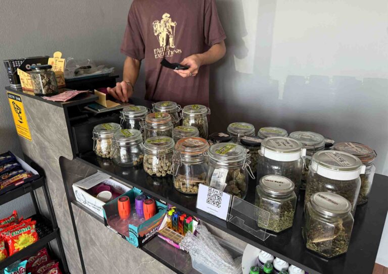 Untitled design 2 768x543